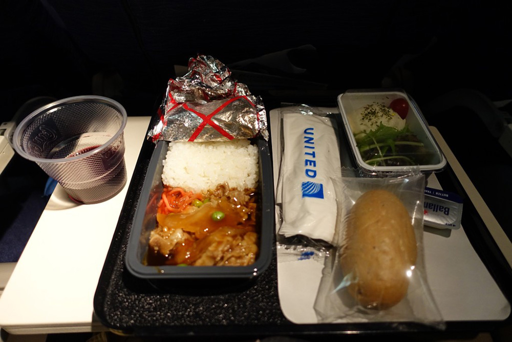 UA flight food