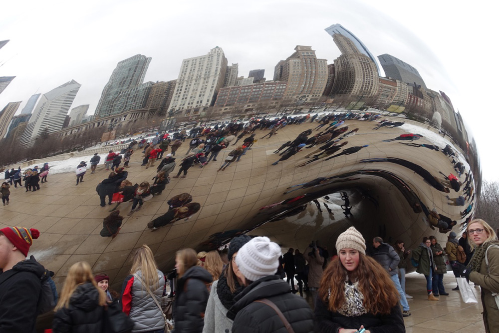 The bean