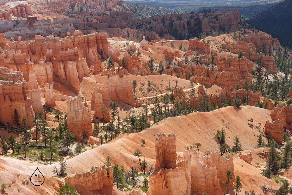 Bryce NP