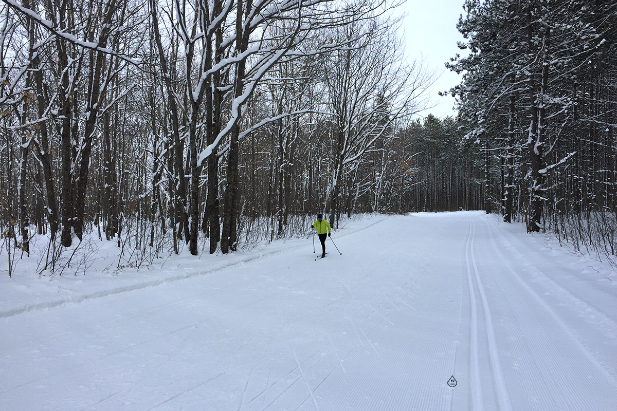 Cross-country Skiing