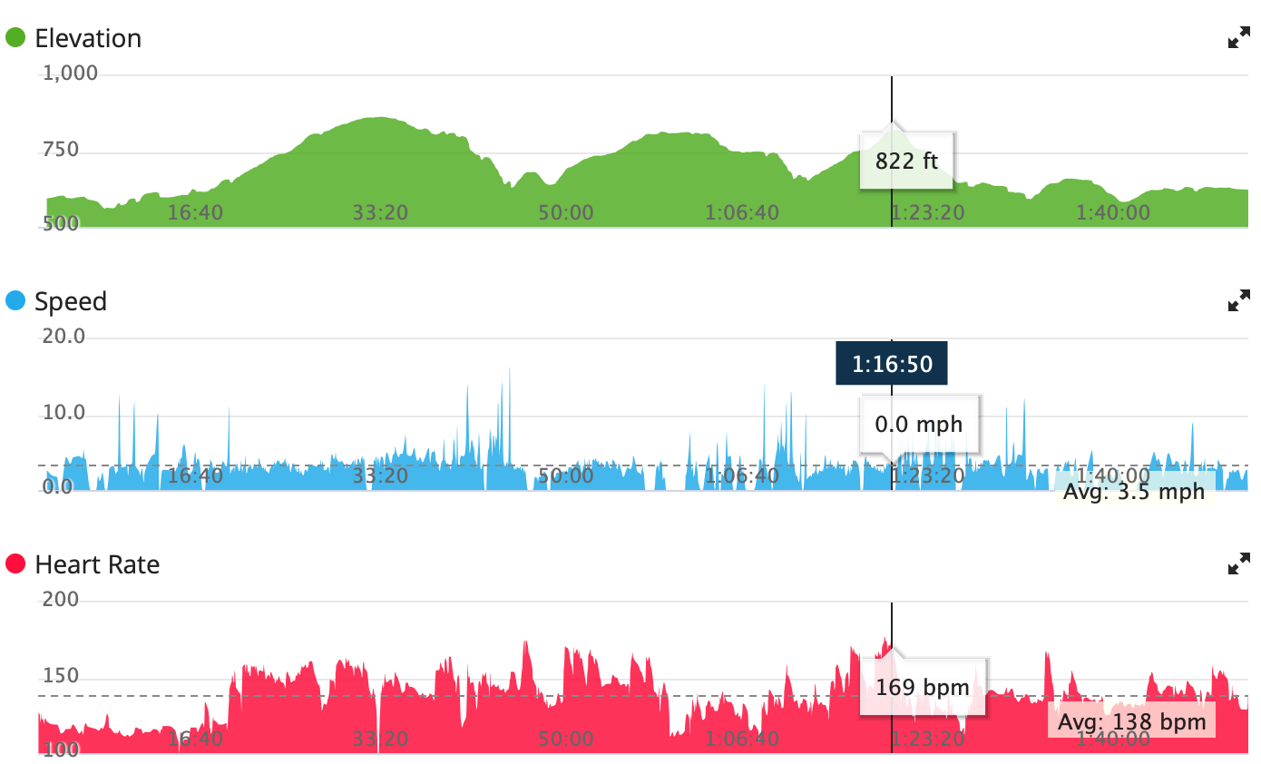 10k data