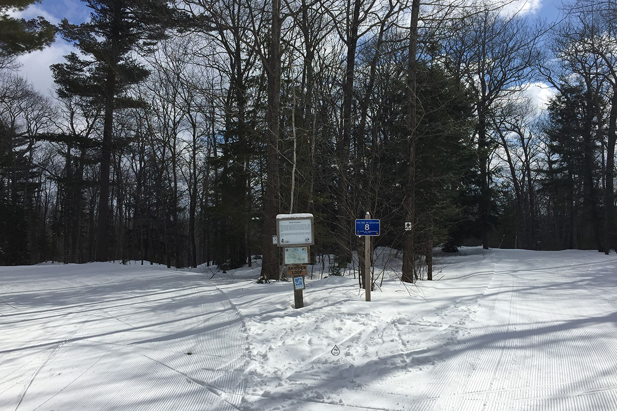 Skidder Loop